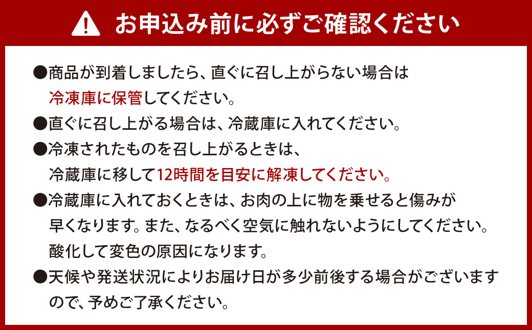 ごちそう九州牛 ハンバーグのジュー 10個入り