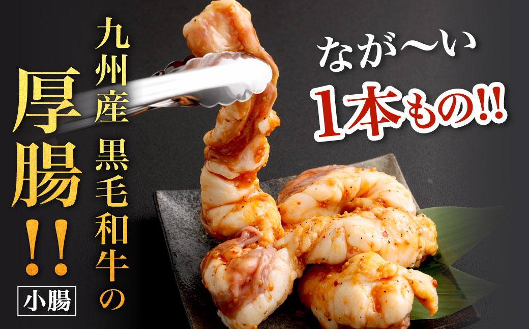 1本焼き たれ漬け 激厚 ホルモン 厚腸版 新鮮 ホルモン たれ タレ モツ もつ 牛モツ 牛もつ ぷりぷり 旨味 黒毛和牛 小腸 腸壁 真空パック 国産 九州産 冷凍