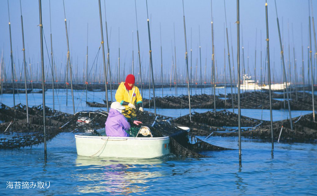 海王 一番摘み焼海苔 5枚入×4袋 計20枚 焼き海苔 板海苔 板のり のり 海苔 初摘み 香り 有明のり 有明海苔