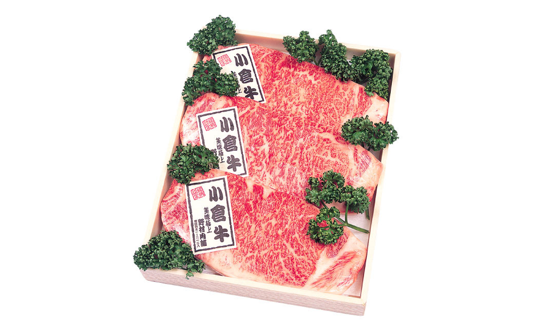 北九州産 小倉牛 サーロイン ステーキ 600g 牛肉 和牛