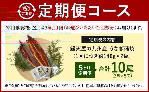【5ヶ月定期便】鰻天屋 九州産うなぎ 蒲焼 約140g×2尾 セット
