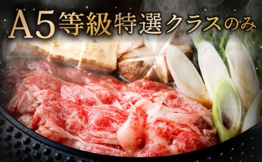 復刻！A5 九州産 黒毛和牛 肩ロース スライス 約1.2kg（300g×4パック） A5ランク 希少 牛肉 肉 お肉 冷凍 福岡県 北九州市