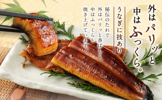 九州産 うなぎ 蒲焼 上 3尾 (1尾あたり160～189g)