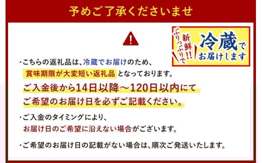 【指定日必須】本場関門とらふぐ刺身・ふぐ鍋セット(4～5人前)ふく一