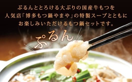 博多もつ鍋やまや もつ鍋セット あごだし醤油味（3～4人前）