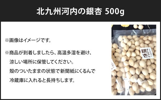 北九州河内の銀杏 500g