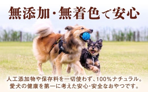 馬骨ジャーキー（10袋）