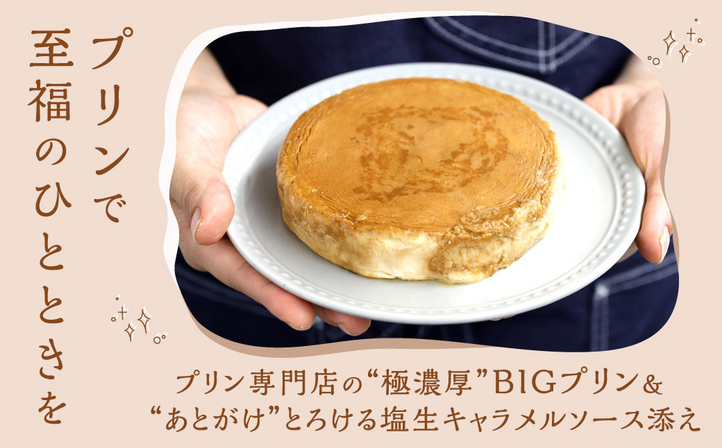 極濃厚 ビッグ プリン 【 12cmホールサイズ・あとがけ塩生キャラメルソース付 】