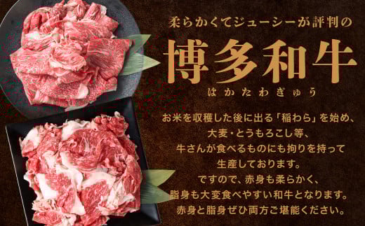 博多和牛の食べ比べ 堪能 切り落とし バラ肉 ＆ 赤身肉 計800g 和牛 牛肉 牛 肉 お肉 バラ 赤身 国産 博多和牛