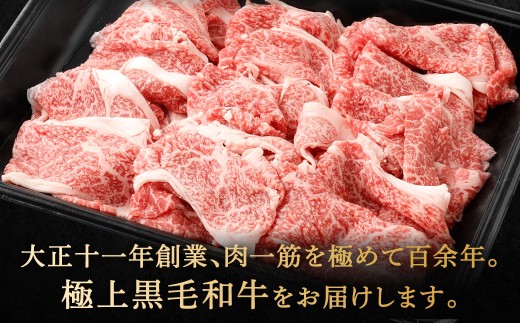【やまぐち和牛燦】 牛切り落とし 約500g
