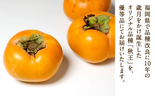 福岡県産 博多秋王【優等品】 約1.75kg以上（6玉入り）