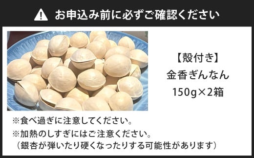 金香ぎんなん（殻付き）150g×2箱 合計300g