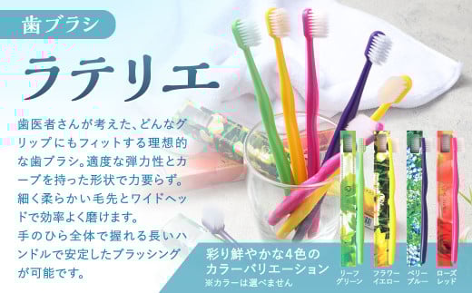 歯医者さんが考案した歯ブラシセット（ラテリエ×10本、ラテリエ・プチ×10本）【10006】 歯ブラシ ラテリエ 歯磨き はみがき マウスケア 健康