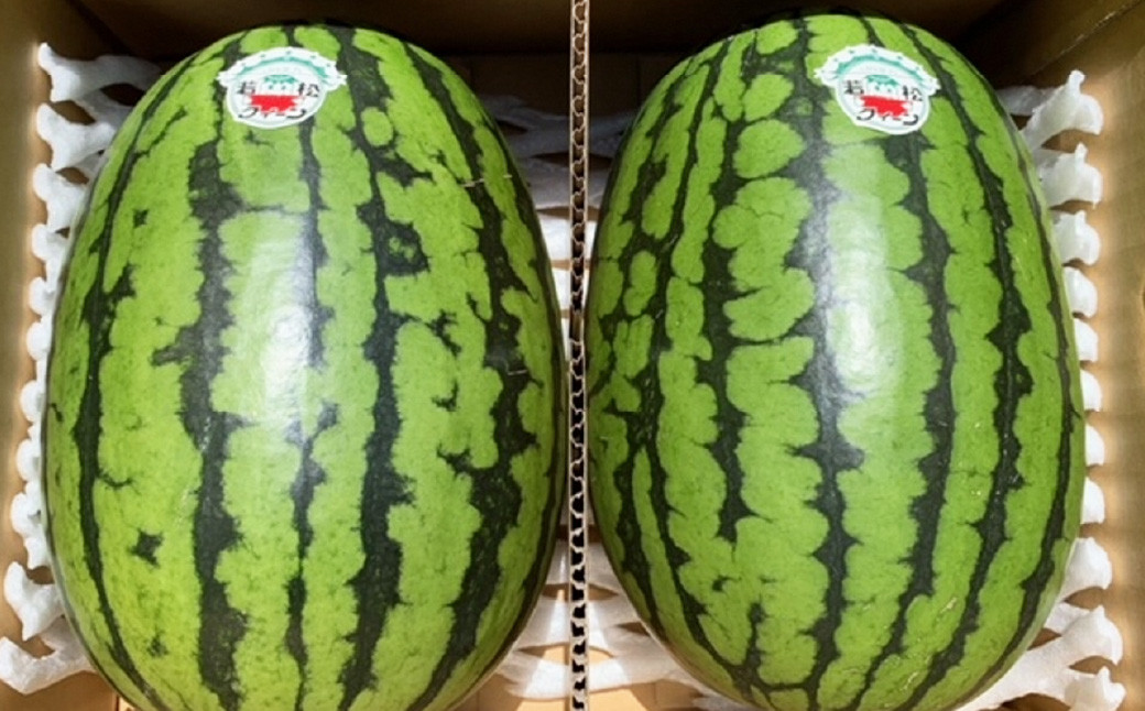 【2023年7月上旬発送開始】 北九州市産 若松クイーン (小玉西瓜) 2玉 (7kg以上) すいか スイカ フルーツ