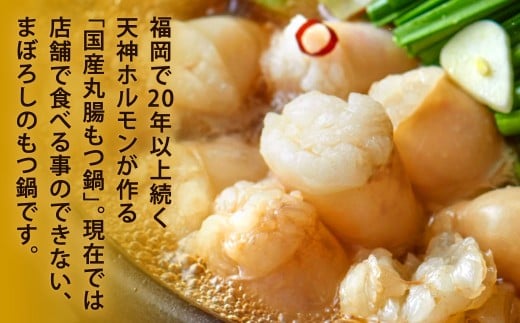 丸腸もつ鍋（丸腸 約200g・スープ 600ml）×2セット（しょうゆ味）