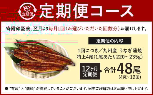 【12ヶ月定期便】九州産 うなぎ蒲焼 特上 4尾 (1尾あたり220～235g) 合計48尾
