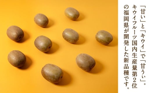 福岡県産 博多甘うぃ 約1.4kg（大玉9玉入り）