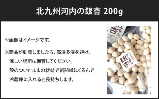 北九州河内の銀杏 200g
