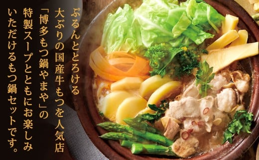 博多もつ鍋やまや もつ鍋セット こく味噌味（3～4人前）