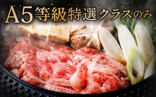 復刻！A5限定！ 九州産 黒毛和牛 肩ロース スライス 計900g【2025年9月発送】