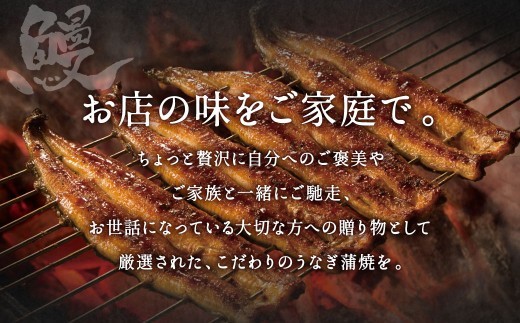 九州産 手焼き 炭火 うなぎ 蒲焼 5尾 計600g以上 (1尾あたり120～149g)
