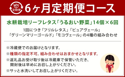 【定期1ヶ月毎6回】水耕栽培 リーフレタス「うるおい野菜」14個セット