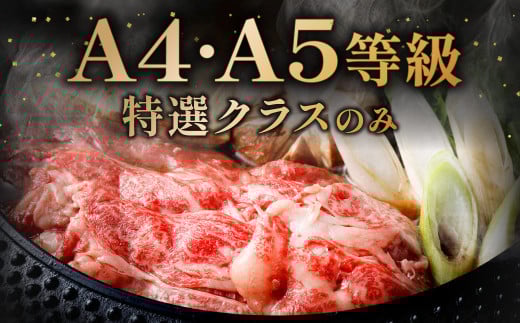 【数量・期間限定】復刻！A4～A5 九州産 黒毛和牛 肩ロース スライス 計約800g（約400g×2パック）【順次発送】黒毛和牛 和牛 牛 牛肉