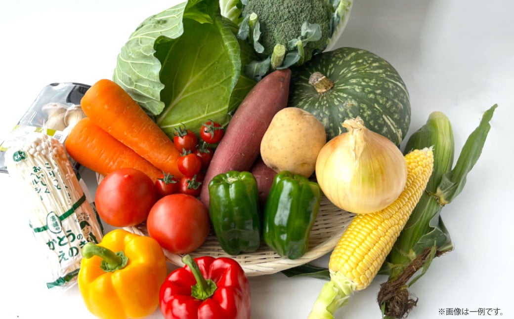 【2023年12月上旬より順次発送】福岡県 北九州市産 冬のお野菜セット 8～10品程度