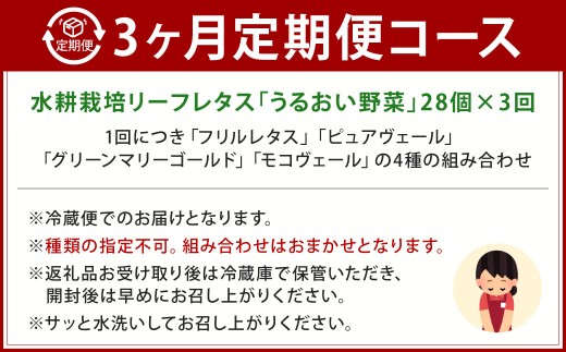 【定期1ヶ月毎3回】水耕栽培 リーフレタス「うるおい野菜」28個セット