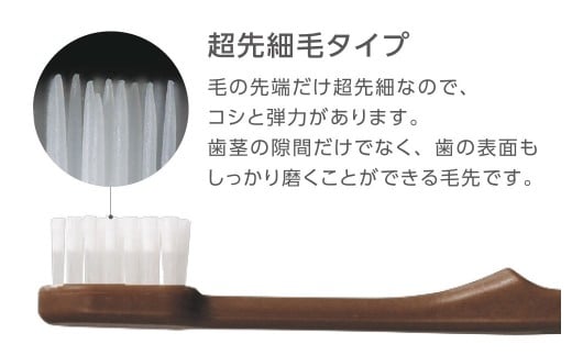 竹バイオマスハブラシと歯磨き粉のセット 25袋 歯ブラシ 歯磨き粉 歯磨き はみがき マウスケア 健康 竹製歯ブラシ 国産 九州 福岡県 北九州市