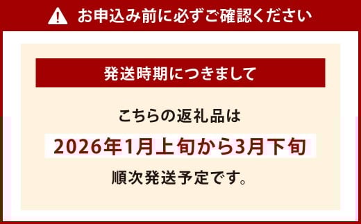 小倉の苺やさん「わがこいちご」260g×2パック 合計520g以上