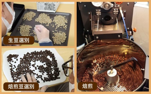 自家焙煎 コーヒー豆ドリップバッグ 5種類 計25袋 飲みくらべセット 1袋10g