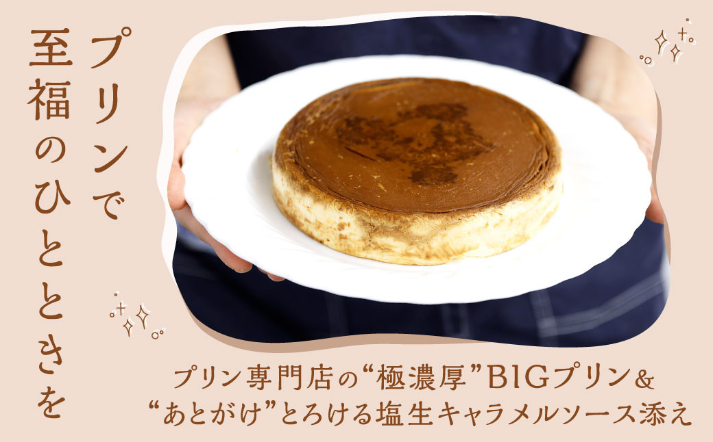 極濃厚 ビッグ プリン 【 15cmホールサイズ・あとがけ塩生キャラメルソース付 】