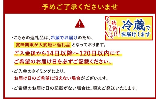 【指定日必須】本場関門とらふぐ刺身・ふぐ鍋セット※白子付(4～5人前)ふく一