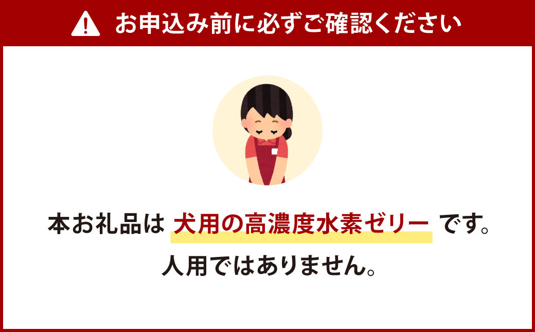 【6ヶ月定期便】 高濃度 水素ゼリー 犬用 31本入り × 6回 (1本5g) 水素 ゼリー ごはん おやつ 犬 愛犬 健康食品 サプリ ヨーグルト風味 持ち運び 携帯 ペット