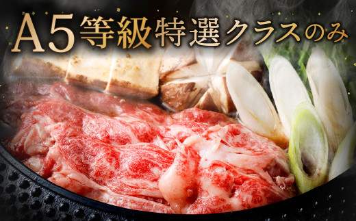 復刻！ A5限定 ！ 九州産 黒毛和牛 肩ロース スライス 計900g 300g×3パック 小分け
