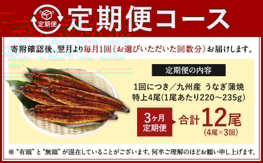 【3ヶ月定期便】九州産 うなぎ 蒲焼 特上 4尾(1尾あたり220～235g)
