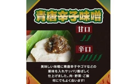 海龍 青唐 辛子味噌 セット 味噌 みそ