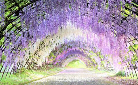 福岡県北九州市 ANAトラベラーズダイナミックパッケージクーポン30,000点分