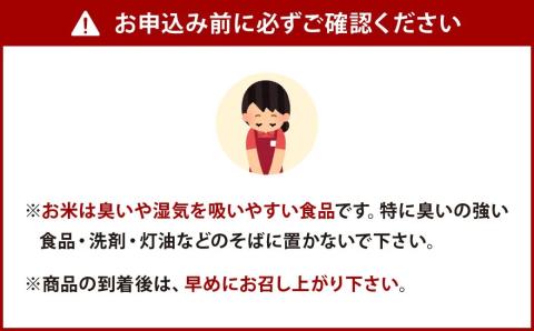 【6ヶ月定期便】【令和4年産】 夢つくし 10kg×6ヶ月 精米 お米 米