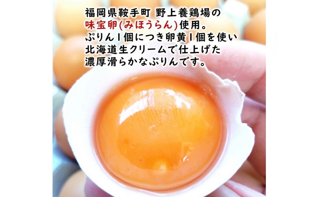 【配達指定日必須】本城 ぷりん 9個入り 濃厚 なめらか