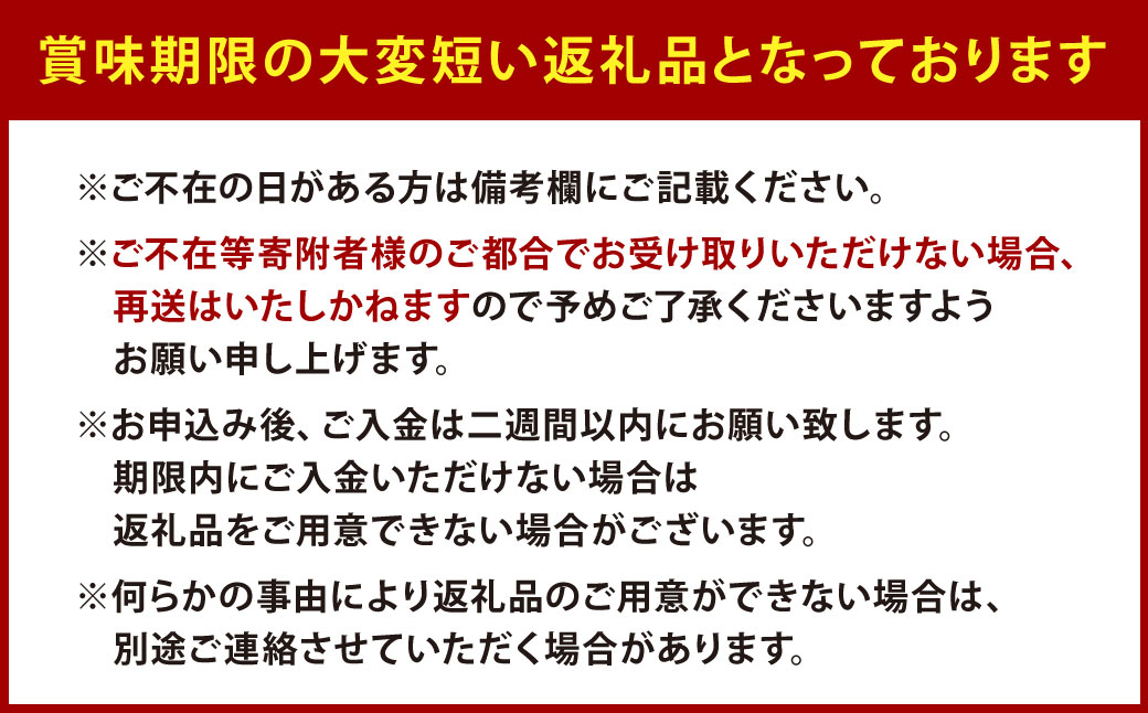 【栽培期間中農薬不使用】天姫（あまひめ）イチゴ 200g×4パック 合計800g【2026年2月上旬～3月下旬発送予定】いちご 苺 フルーツ 果物 くだもの 福岡県 北九州市