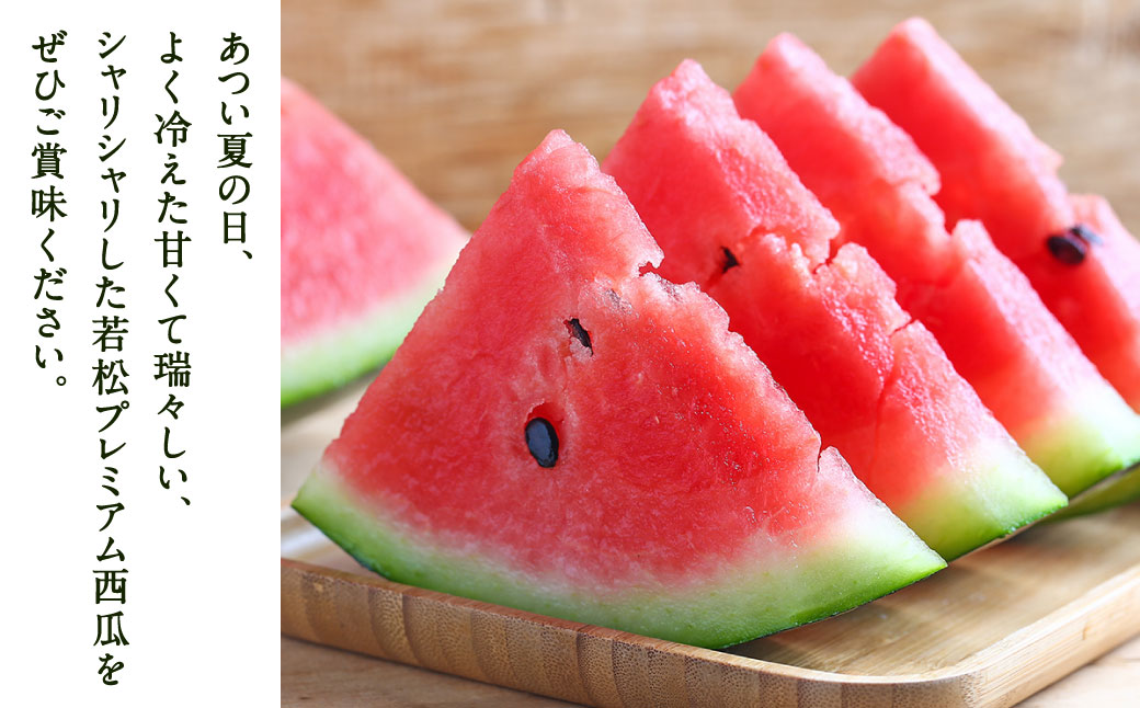 福岡県 北九州市 若松産 【優等品】 潮風プレミアム 西瓜 約7kg（1玉入り）【2026年7月下旬から8月上旬発送予定】すいか スイカ フルーツ 果物 くだもの