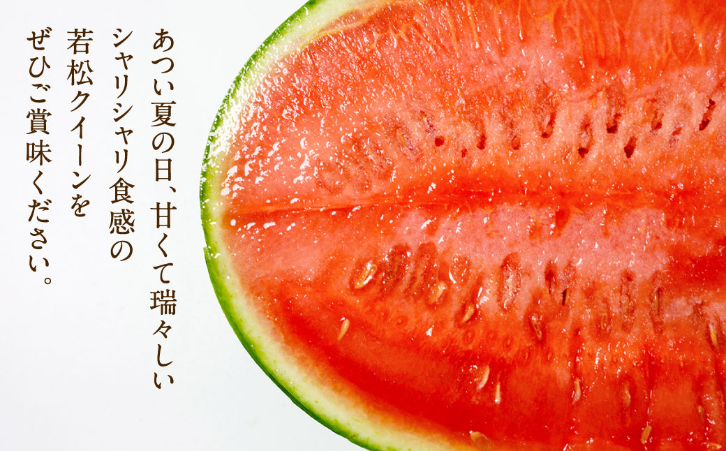 福岡県 北九州市 若松産 【優等品】 若松クイーン 約4kg以上 (約2kg以上2玉入り) 【2026年7月上旬から8月上旬発送予定】すいか スイカ フルーツ 果物 くだもの