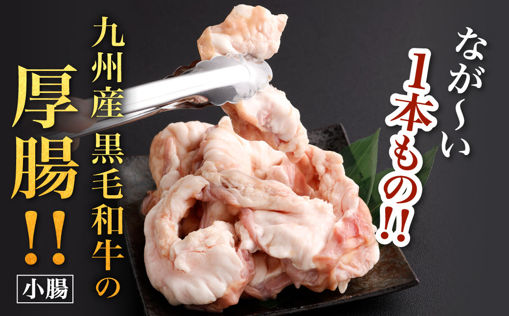 ぶりぶり ホルモン 1本 もつ鍋 厚腸編 1kg入り 新鮮 ホルモン モツ もつ 牛モツ 牛もつ ぷりぷり 黒毛和牛 小腸 腸壁 真空パック もつ鍋 鍋 セット スープ 旨味 あっさり うどん麺 ちゃんぽん麺 国産 九州産 冷凍