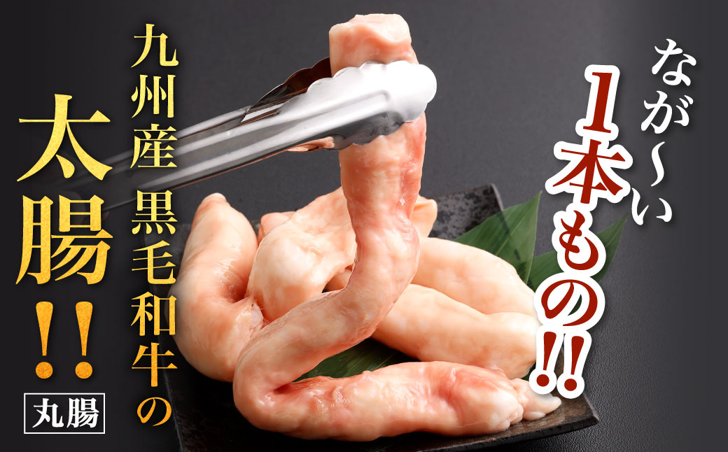 極太 ホルモン 1本 もつ鍋 太腸編 1kg入り 新鮮 ホルモン モツ もつ 牛モツ 牛もつ ぷりぷり 黒毛和牛 丸腸 真空パック もつ鍋 鍋 セット スープ 旨味 あっさり うどん麺 ちゃんぽん麺 国産 九州産 冷凍