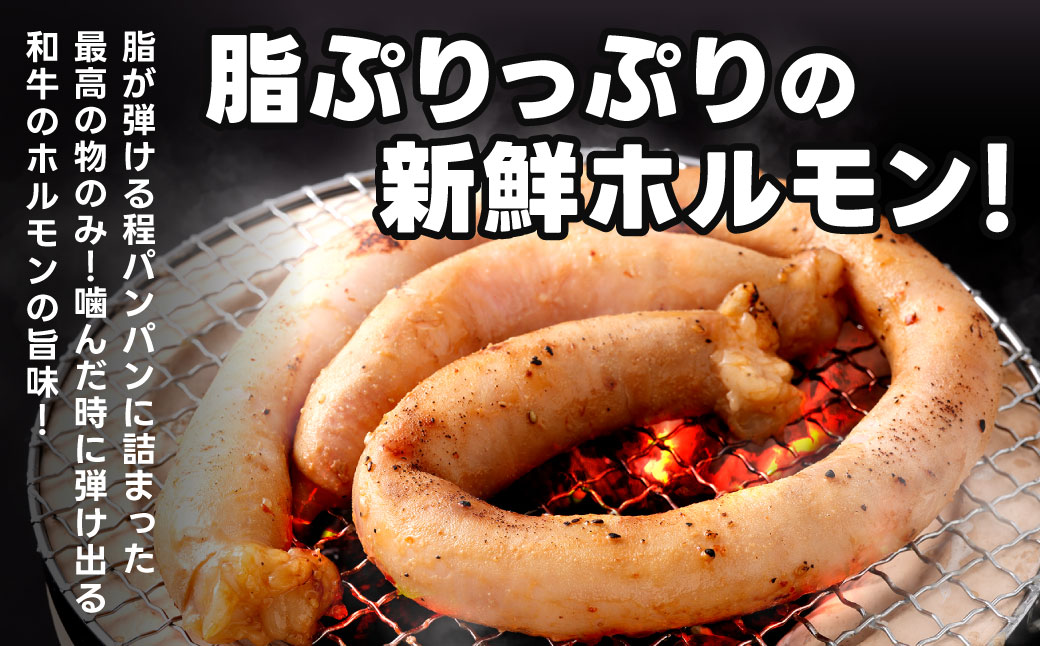 1本焼き たれ漬け 極太 ほるもん 太腸版 新鮮 ホルモン たれ タレ モツ もつ 牛モツ 牛もつ ぷりぷり 旨味 黒毛和牛 丸腸 真空パック 国産 九州産 冷凍