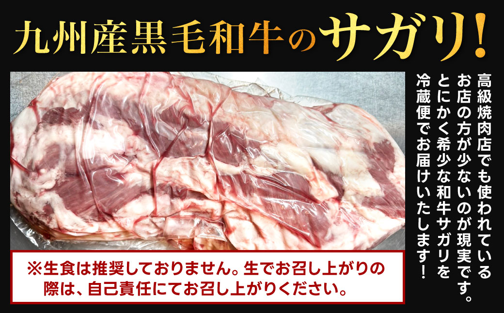 幻のサガリ これが和牛のサガリです【2026年1月上旬～2月下旬発送予定】黒毛和牛 和牛 サガリ 肉 お肉 高級 サシ 焼肉 BBQ 希少 新鮮 国産 九州産 冷蔵
