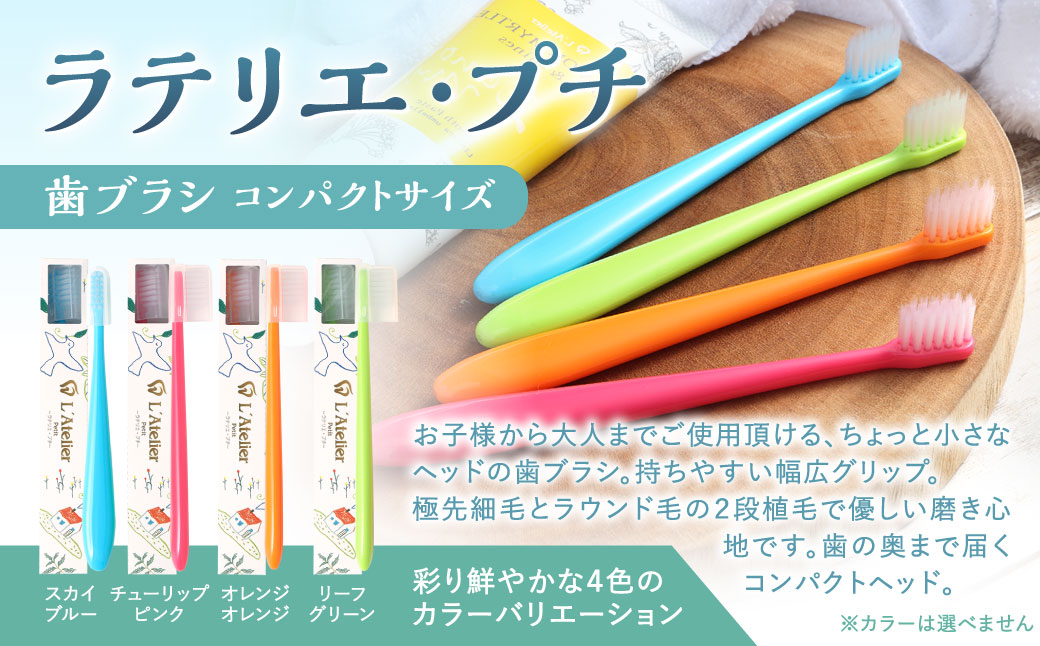 歯医者さんが考案した歯ブラシ・歯磨き粉セット