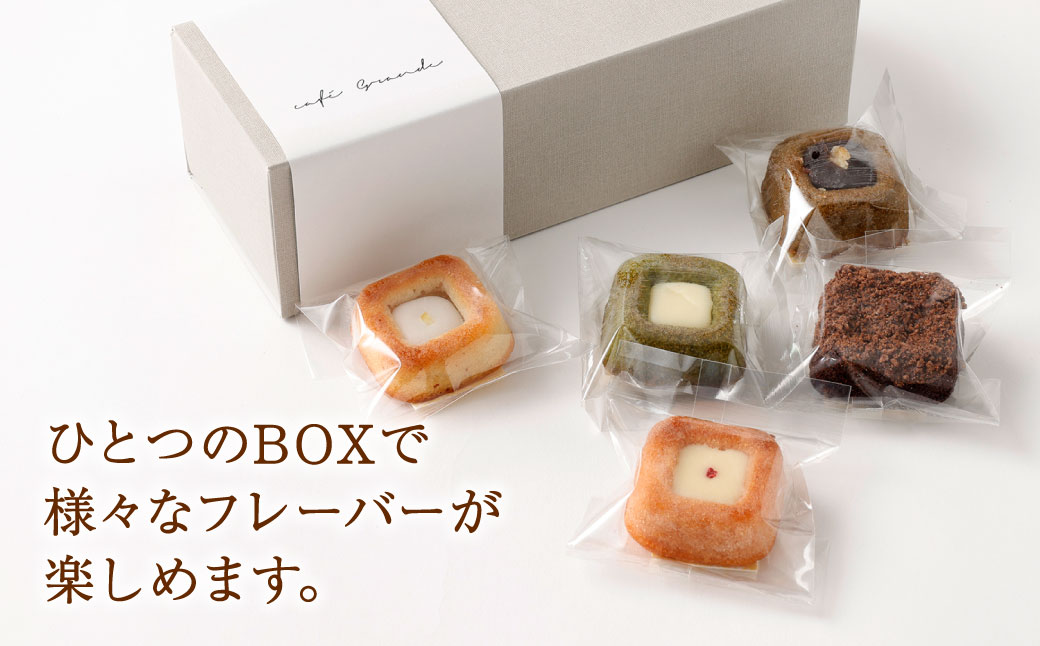 ティグレ 5個BOX